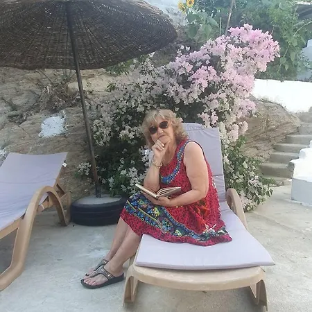 Baykus Guesthouse-konukevi Soke