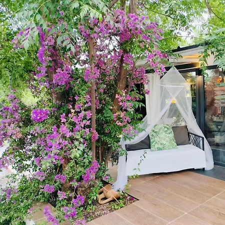 Baykus Guesthouse-konukevi Gasthuis Soke