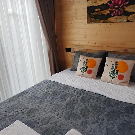 ゲストハウス Baykus Guesthouse-konukevi